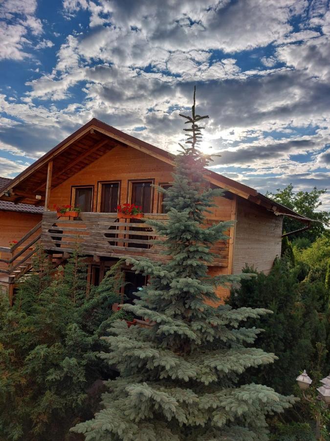 Daiana Residence Cabane Турда Экстерьер фото