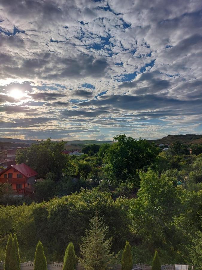 Daiana Residence Cabane Турда Экстерьер фото